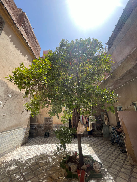 Beautifully Detailed Historic Riad for Renovation -120m2 - €300,000 - 200+ Years Old