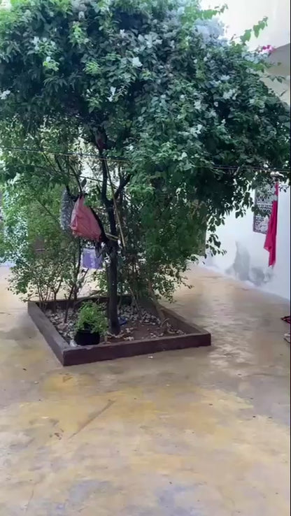 Peaceful Medina Property - €180,000 - Bab Aylan